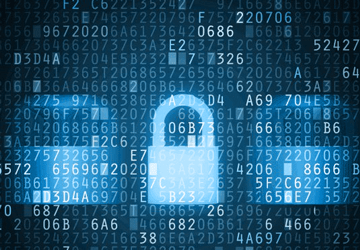 Cyber Security Services